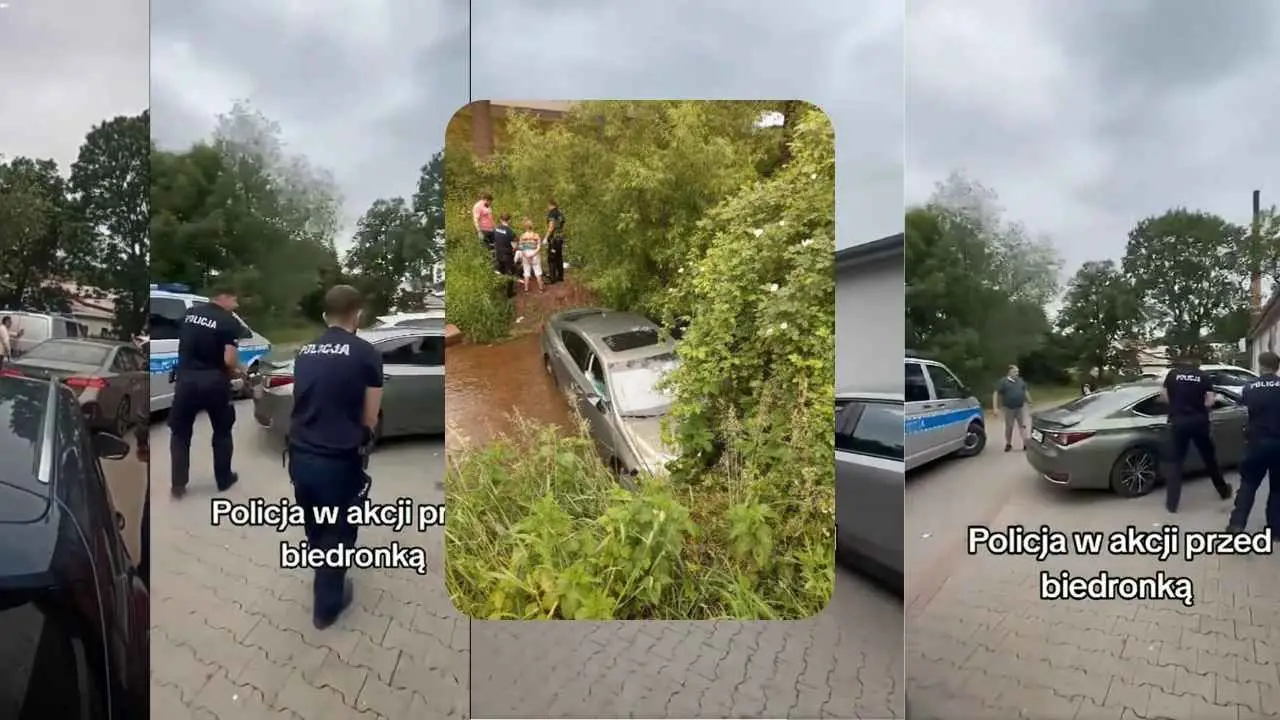 Bolków biedronka