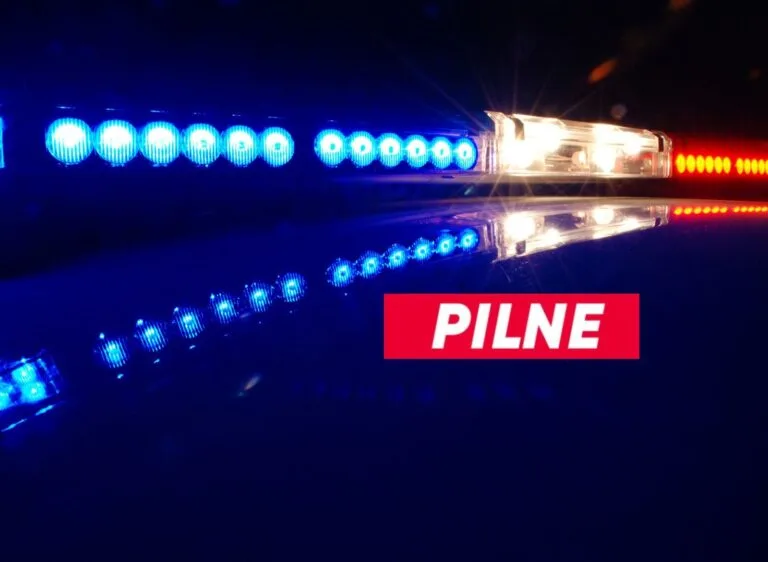 policja