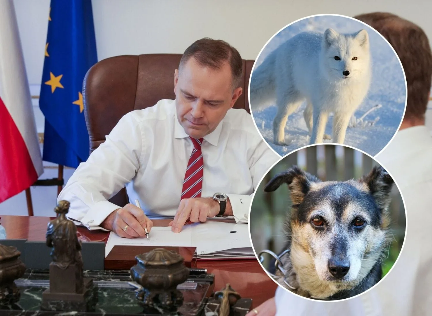 Prezydent podpisał ustawę o zakazie hodowli zwierząt na futra i zawetował ustawę łańcuchową