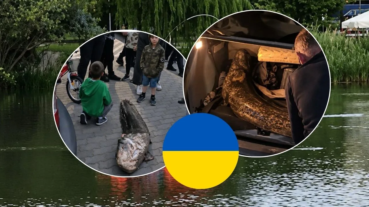 Ukrainiec Sum Warszawa wydalony