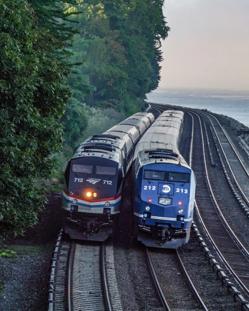 Two trains on parallel tracks by a forest
