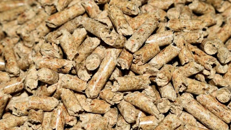 Zbliżenie na drewniane granulaty pelletu opałowego, ułożone w dużej ilości na jasnym tle.