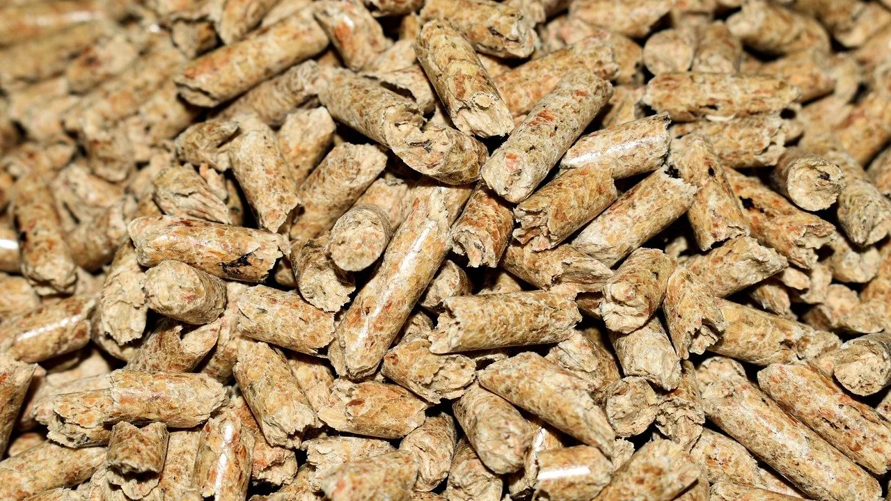 Zbliżenie na drewniane granulaty pelletu opałowego, ułożone w dużej ilości na jasnym tle.